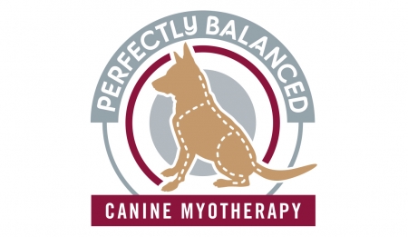 Perfectly Balanced Canine Myotherapy Gallery